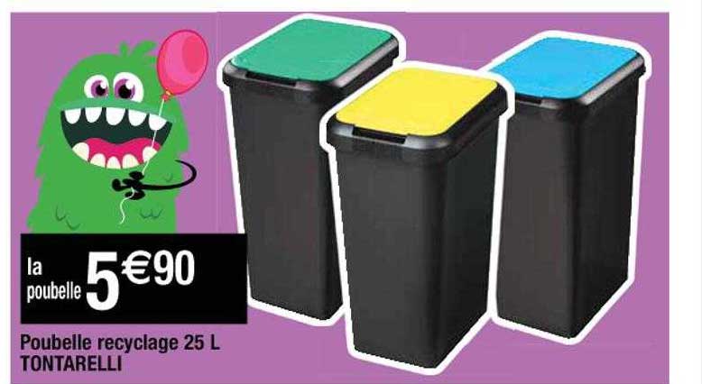 poubelle recyclage 25 l tontarelli