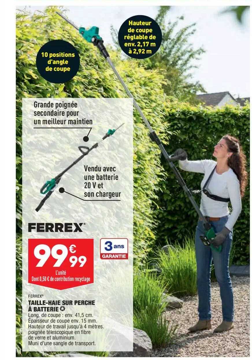taille-haie sur perche à batterie ferrex