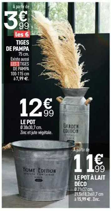 tiges de pampa, le pot à lait déco