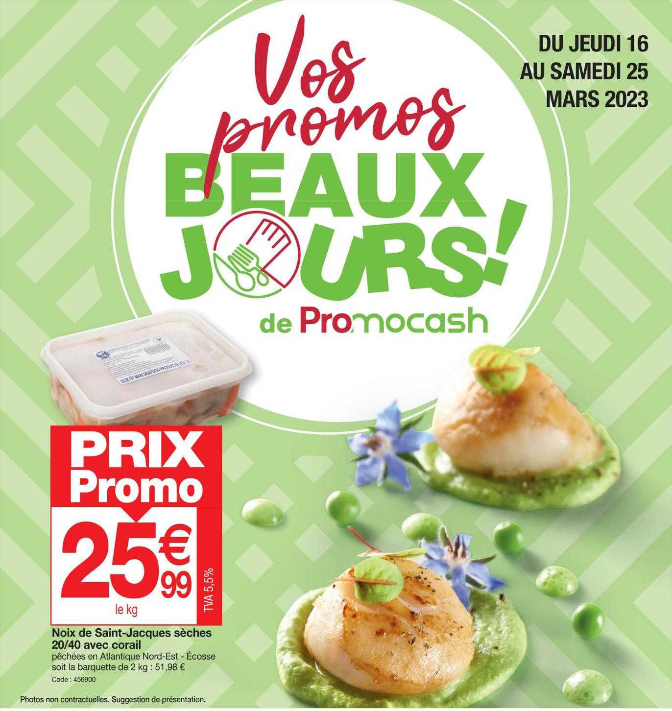 noix de saint-jacques sèches 20-40 avec corail