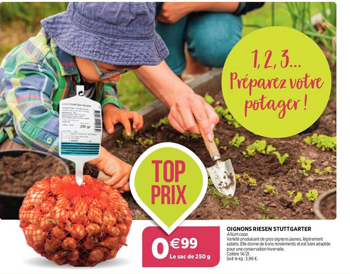 oignons riesen stuttgarter