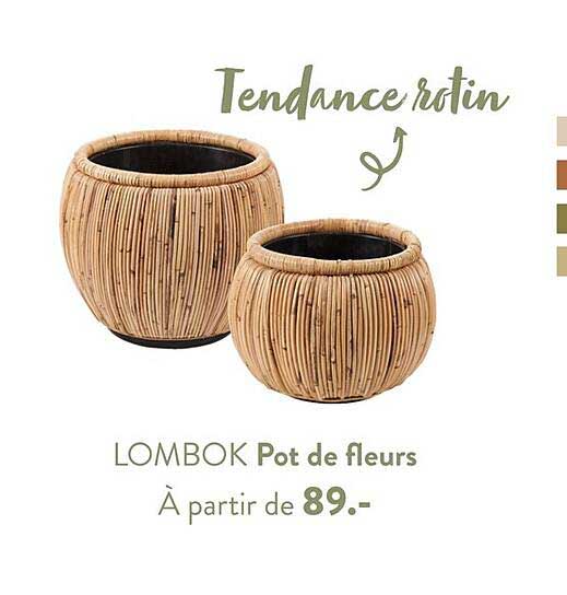 Pot De Fleurs Lombok