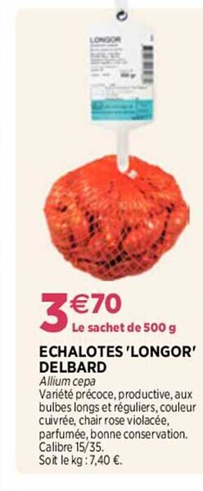 échalotes 'longor' delbard