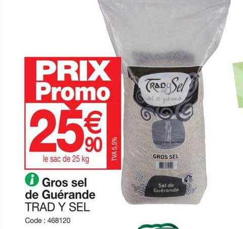 gros sel de guérande trad y sel