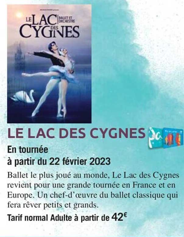 le lac des cygnes