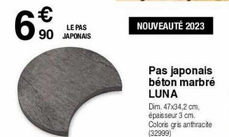 Pas Japonais Béton Marbré Luna