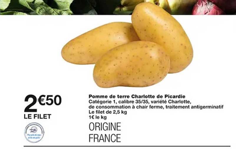 pomme de terre charlotte de picardie