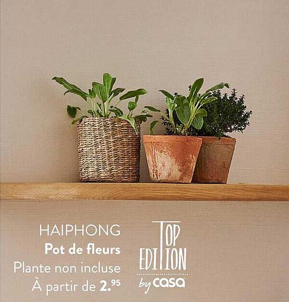 Pot De Fleurs Haiphong