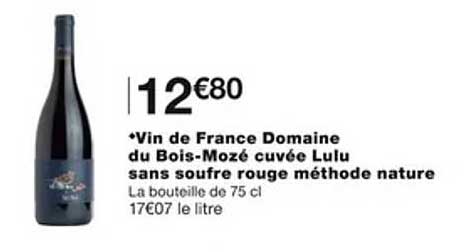 vin de france domaine du bois-mozé cuvée lulu sans soufre rouge méthode nature