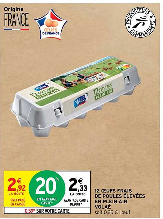 12 œufs frais de poules élevées en plein air volaé