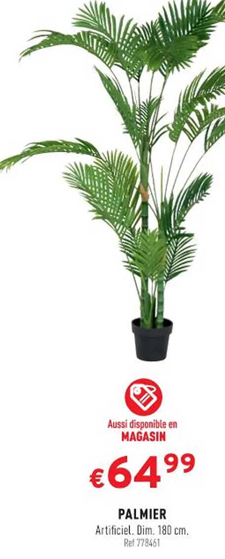 Palmier
