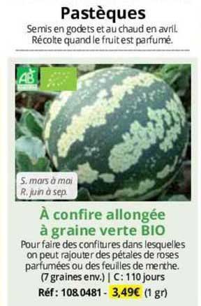 à confire allongée à graine verte bio
