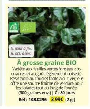à grosse graine bio