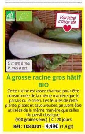 à grosse racine bros hâtif bio