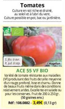 Ace 55 VF Bio