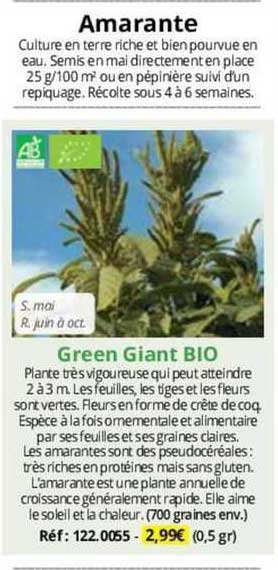 amarante green giant bio