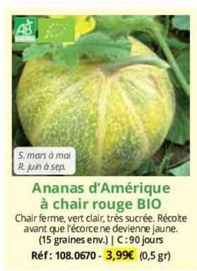 ananas d'amérique à chair rouge bio