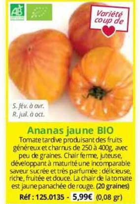 Ananas Jaune Bio