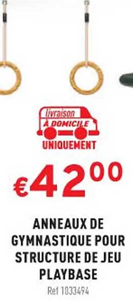 anneaux de gymnastique pour structure de jeu playbase