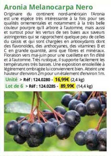 aronia melanocarpa nero