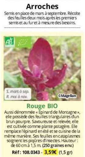 Arroches Rouge Bio