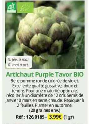 artichaut purple tavor bio