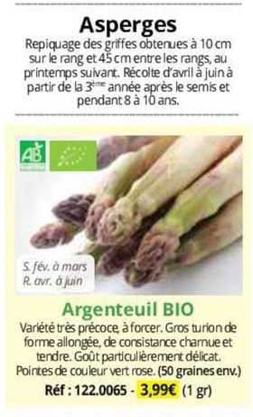 Asperges Argenteuil Bio