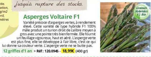 asperges voltaire f1