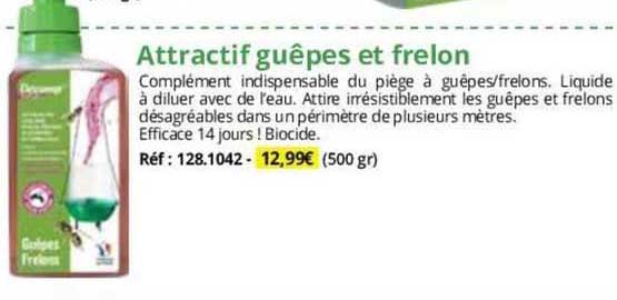 attractif guêpes et frelon