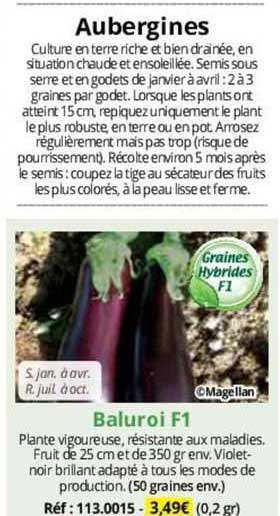 aubergines baluroi f1