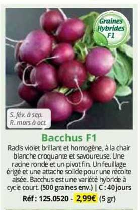 bacchus f1
