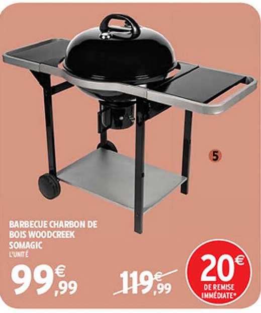 Barbecue Charbon De Bois Woodcreek Somagic