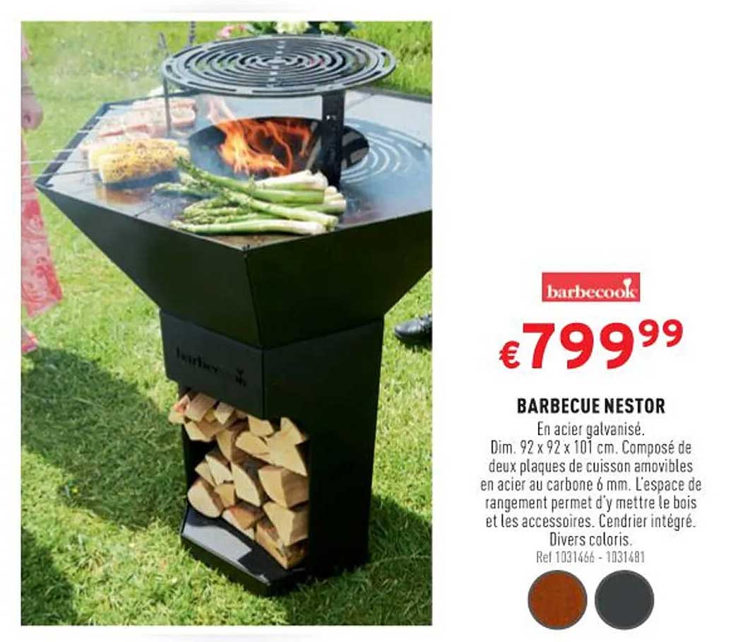Barbecue Nestor
