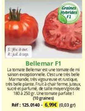 Bellemar F1