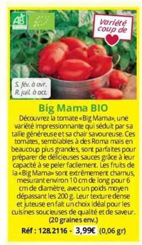 big mama bio
