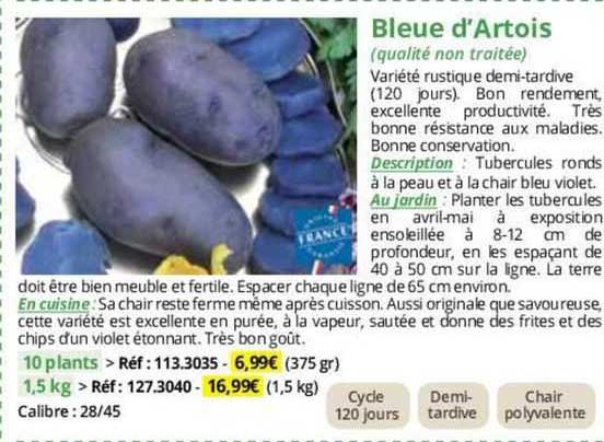 bleue d'artois