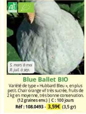blue ballet bio
