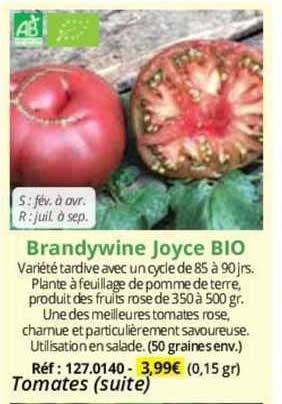 brandywine joyce bio