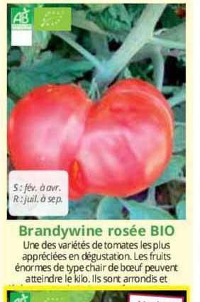brandywine rosée bio