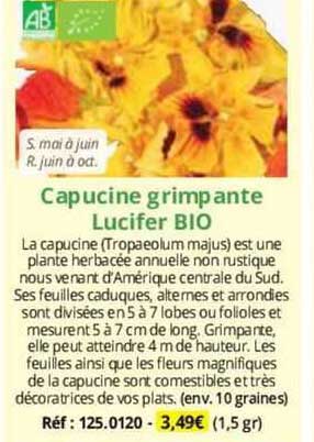 capucine grimpante lucifer bio