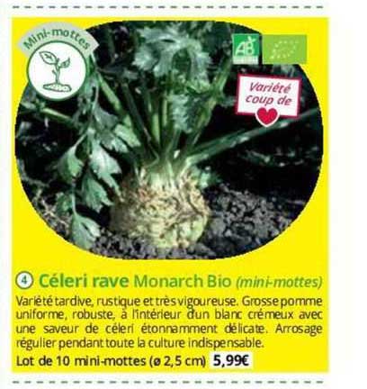 céleri rave monarch bio
