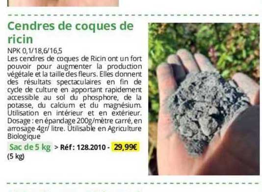 cendres de coques de ricin
