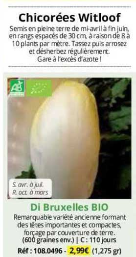 chicorées witloof di bruxelles bio