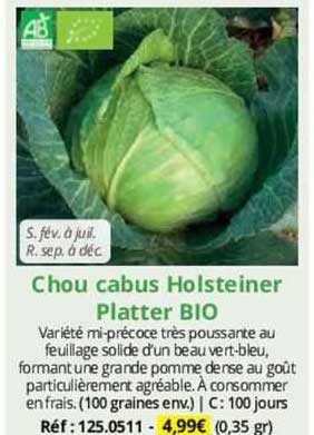 chou cabus holsteiner platter bio