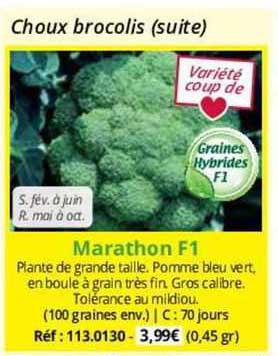 choux brocolis marathon f1