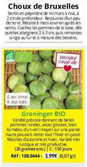 choux de bruxelles groninger bio