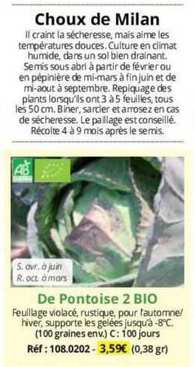 Choux De Milan De Pontoise 2 Bio
