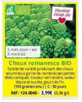 Choux Romanesco Bio