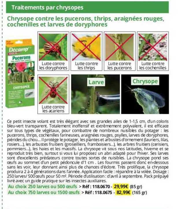 chrysope contre les pucerons, thrips, araignées rouges, cochenilles et larves de doryphores