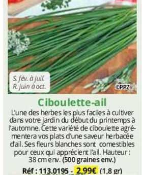 Ciboulette-ail